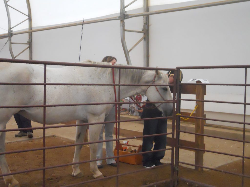 Fritz at work (1)